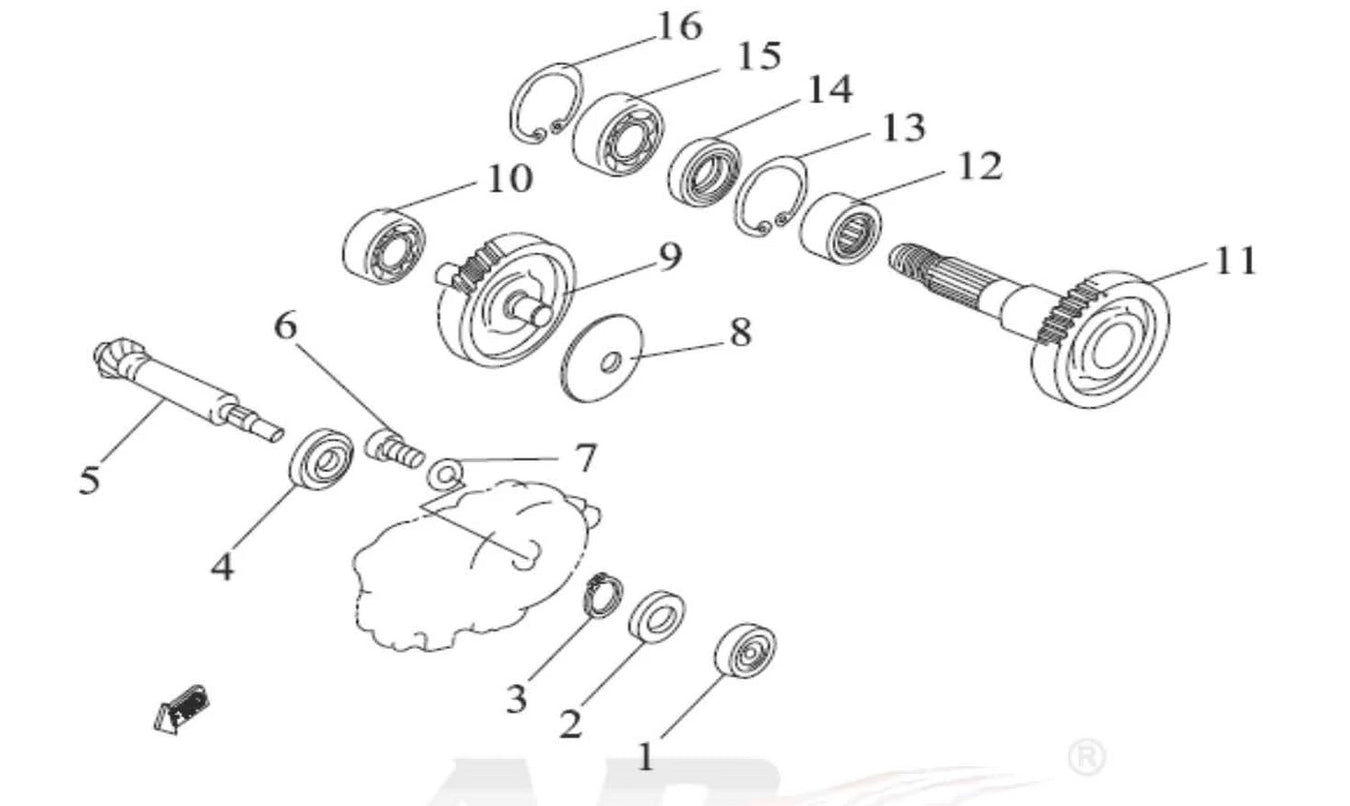 APEX TRANSMISSION