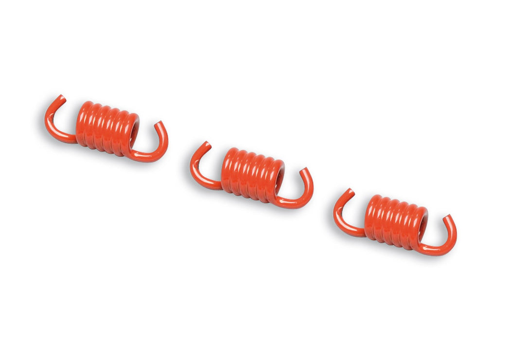 Malossi Clutch Shoe Springs - Red (1500RPM)