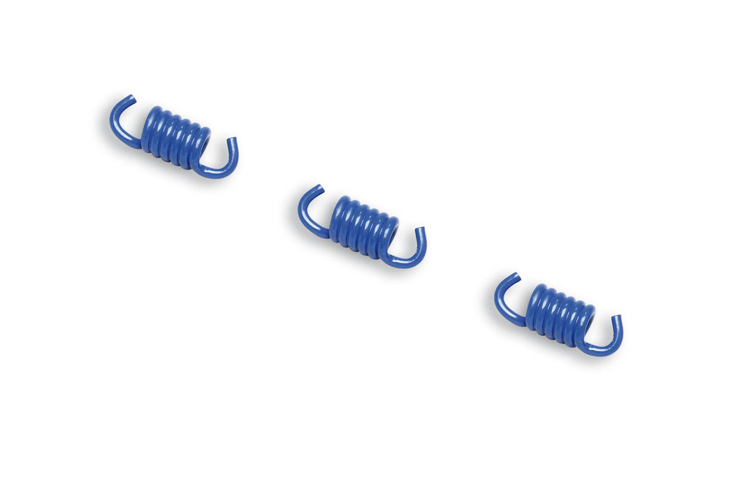 Malossi Clutch Shoe Springs - Blue (2000RPM)