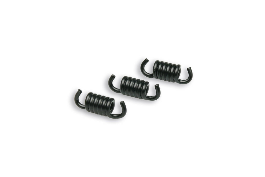 Malossi Clutch Shoe Springs - Black (2500RPM)