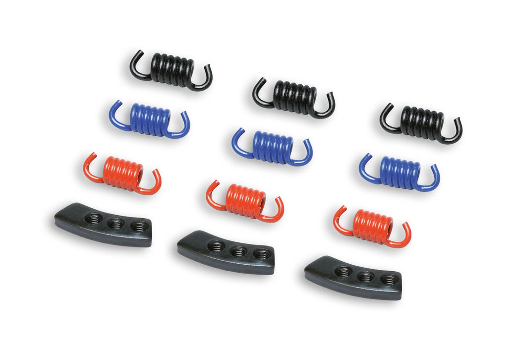 Malossi Clutch Shoe Springs - Tuner Pack
